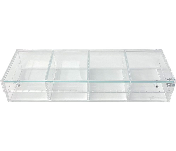 ARS  Clear 4 Compartment Display