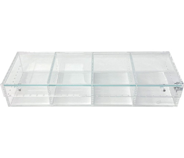 ARS Clear 4 Compartment Display