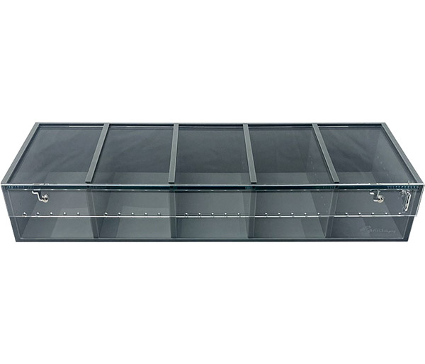 ARS Gray 5 Compartment Display