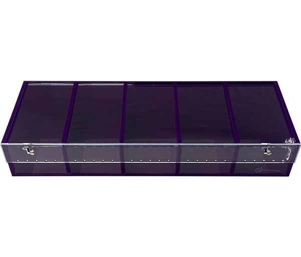 ARS  Purple 5 Compartment Display